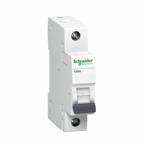 Schneider Electric Disjuntor C 20A 1P 6kA Acti9 GPV-401-189